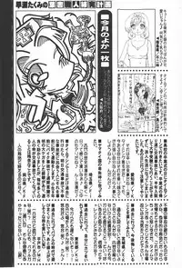Comic Hime Dorobou 2008-01