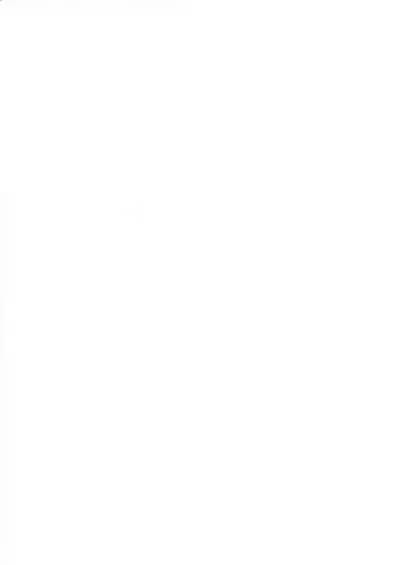 (C59) [Mikan no Kandume, Nonperman (Segawa Yuri, Kisaragi Nonpe)] late riser (Seikai no Senki)