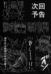 [Sumeragi Designs (Sumeragi Seisuke)] D4C (Touhou Project) [Chinese] [基德漢化組] [Digital]