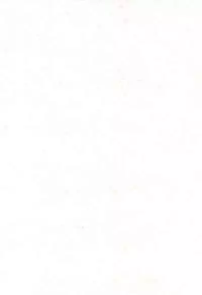 (C56) [Sadakichidou, SEE-SAW (Yamamoto Sadakichi)] Himitsu Nikki