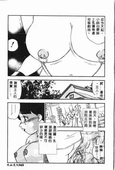 Imouto Koishi Vol. 3