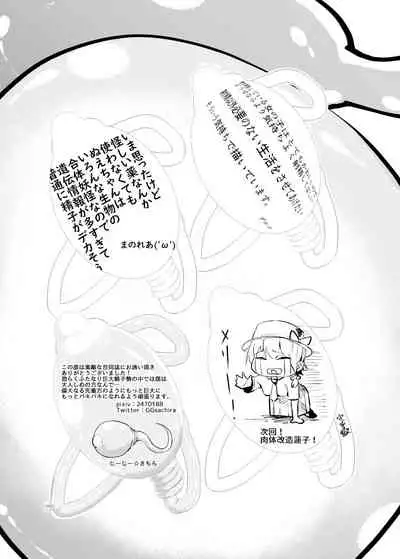 [Nuigurumiya-san (Various)] Touhou Futanari Kyodai Seishi Goudoushi (Touhou Project) [Digital]