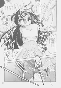 (C53) [First Class (Kazuneko)] W-MIND Soushuuhen (Mahou Shoujo Pretty Sammy)