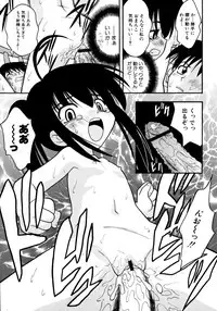 [Ie-i Tomii] Meconopsis