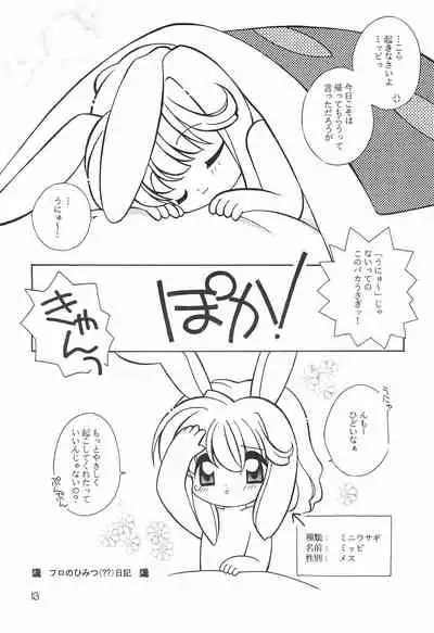 (C56) [Sadakichidou, SEE-SAW (Yamamoto Sadakichi)] Himitsu Nikki