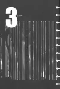 [2CV.SS(Yoshimitsu Asagi)] Inamorato Prediletto 3 (Final Fantasy VII Advent Children, Rumble Roses)