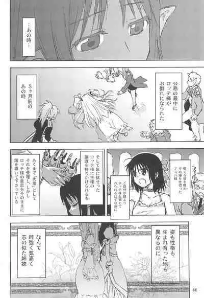 Maigo no Maigo no Hime-sama Plus