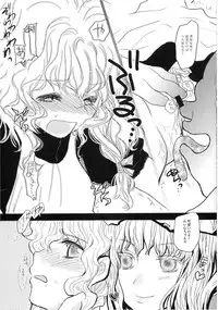 (C74) [Shoujo Zukin (Hatomugi Munmun)] Marecollect (Touhou Project)