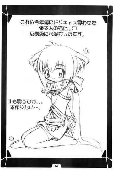 Hinaya Tsuushinbo DX Vol.1