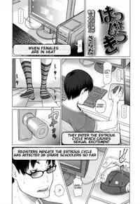 [Salad] Hatsujouki (COMIC LO 2016-02) [English] [zirgex]