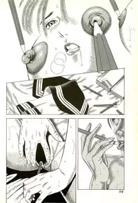 [Anthology] Hageshikute Hen Vol.2