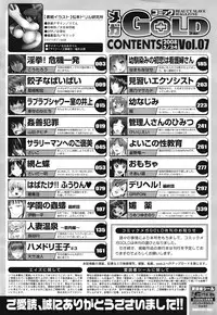 COMIC Mega GOLD 2008-05 Vol.7