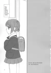 (C67) [FlavorGraphics* (Mizui Kaou)] From Shinyokohama To Akihabara (Shuukan Watashi no Oniichan) [English]