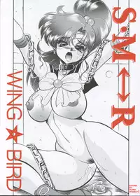 S·M↔R [English] [Rewrite]