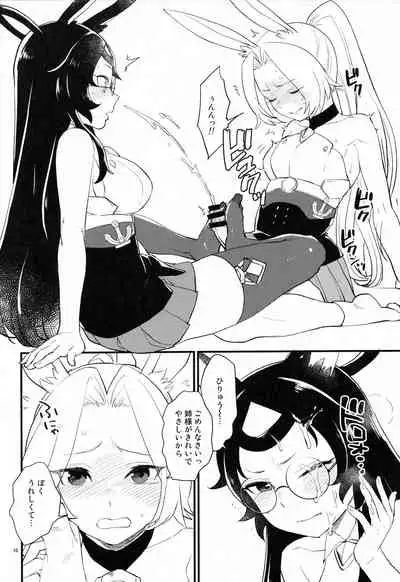 Mental Cube Jikken ni Okeru Jiko Narabi ni Higai Houkokusho