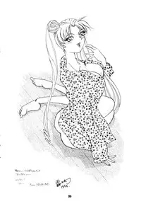 [Umesuke (J. Sairo)] HABER 8 SILVER MOON (Sailor Moon)