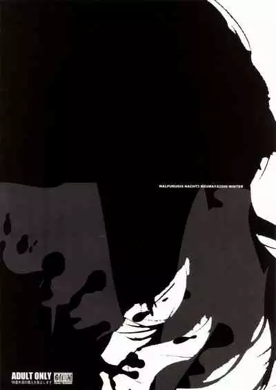 (C71) [Keumaya (Inoue Junichi)] Walpurugisnacht 3 / Walpurgis no Yoru 3 (Fate/stay night) [Chinese] [牛肝菌汉化]