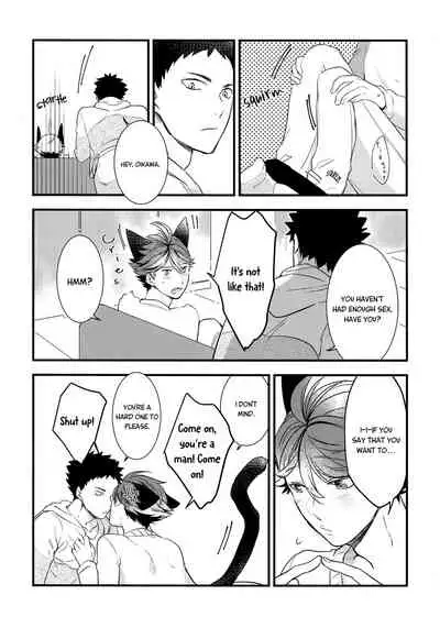 Iwa-chan no Neko ni Naritai 2