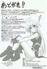 (C92) [STROLL IN THE WOODS !! (ELF)] Shinu yori Hidoi Naiyou no Kansoubon (Mahou Shoujo Lyrical Nanoha)