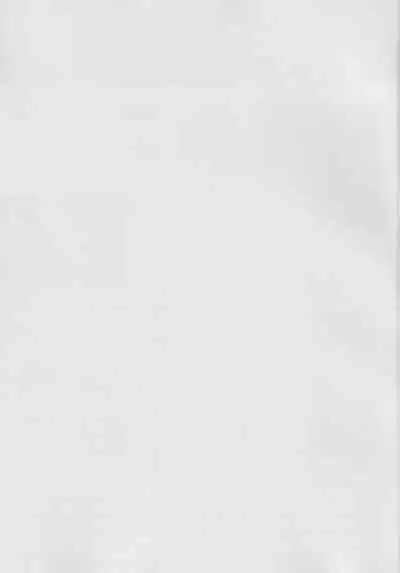 Onna Inma dakara Onna Boukensha Osou ne!! 2