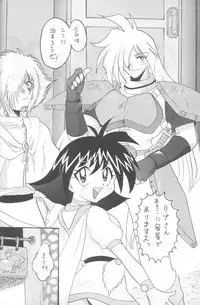 [Ginmomodou (Mita Satomi)] Slayers Adult 4 (Slayers)