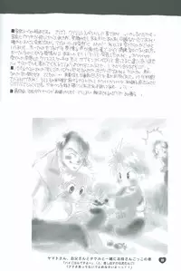 [Atsu Atsu COOK (Katagari Atsuko)] Neo Romance Game (Digimon Adventure 02)