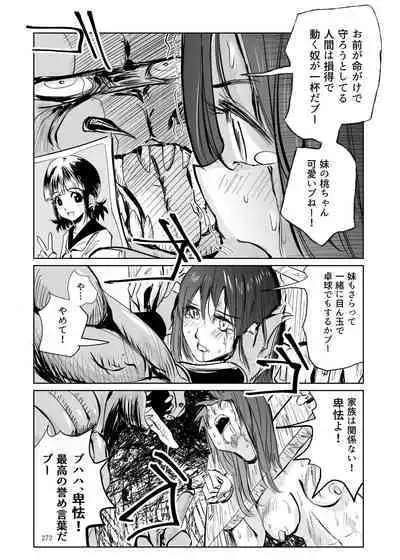 Heropine Sentai Pinch Ranger