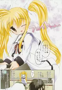 Nanoha san. +Fate-chan. Full Color Soushuuhen(Mahou Shoujo Lyrical Nanoha)