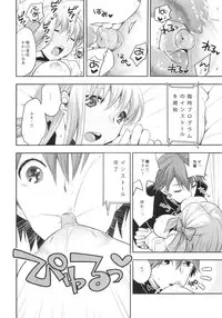 (C86) [TRIP SPIDER (niwacho)] Mou Hitotsu no SecretGarden (Fate/EXTRA CCC)