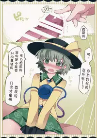 (C90) [Sunset Beach (Hammer)] Koishi-chan ga Pet o Korashimechau Ohanashi (Touhou Project) [Chinese] [靴下汉化组]