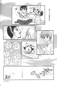 (C64) [Souya (Kotohori Arika)] Ichiban Taisetsu na Hito e (Inuyasha)