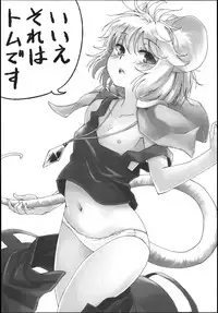 (C82) [Animal Passion (Yude Pea)] Sagashimono wa Nan Desu Ka (Touhou Project)