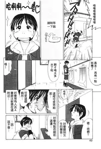 [Trochilidae] fighting queen 3 [Chiense]