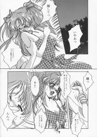 (C53) [HIGH RISK REVOLUTION (Aizawa Hiroshi)] Liar! Liar! Baby, do you want the truth? (Sentimental Graffiti)