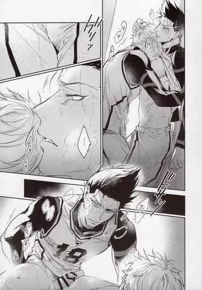 VIVID ADDITIVE MIXTURE