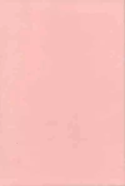 Nedari Midara | 挑逗與放蕩