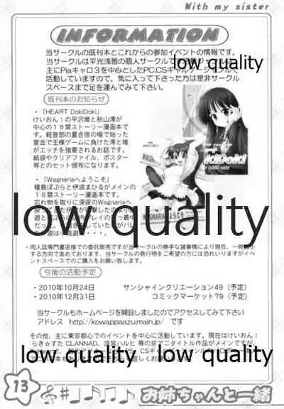 お姉ちゃんといっしょ