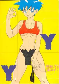 [Chirigami Goya, Fusuma go Ten (Shouji Hariko)] YYY (Dragon Ball)