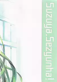 (C94) [SANDAN (Kurun)] Suzuya, Seijunha! (Kantai Collection -KanColle-)