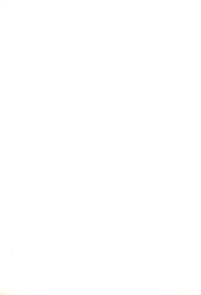 Sugar Pink no Koneko