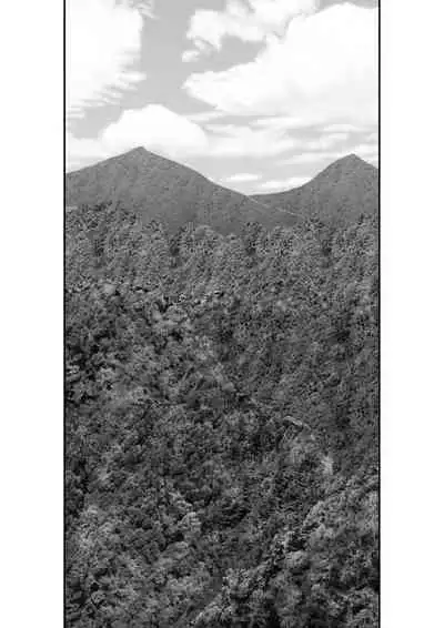 Irregularity Muu Hantaa ... devil person religious community II