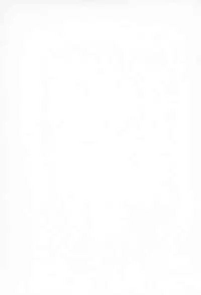 Burney’s Bunny Shop Shinsoukaiten!