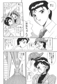 [Akifuji Satoshi] Four Seasons