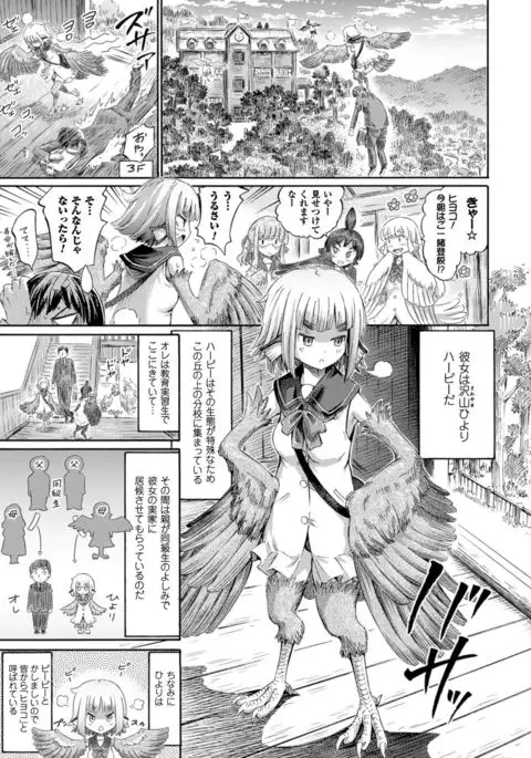 COMIC Unreal 2016-06 Vol. 61 10th Anniversary Bonus Contents DVD