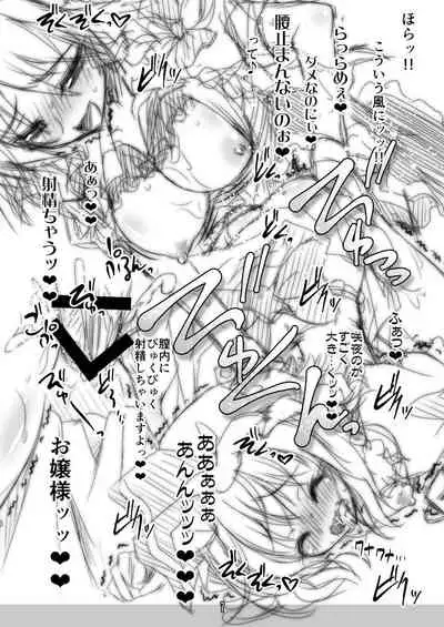 Zenra Yaiki shite ita Ojou-sama Hon ga Seijin Muke ja Nakatta Ken ni Tsuite