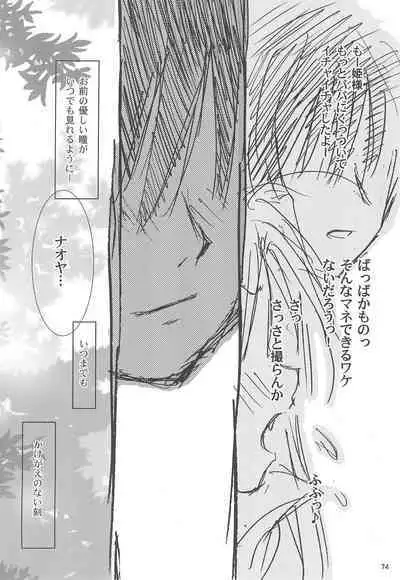 Maigo no Maigo no Hime-sama Plus