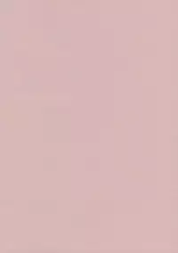 (Reitaisai 8) [Yume no Kage] Lunchi Pack (Touhou Project)