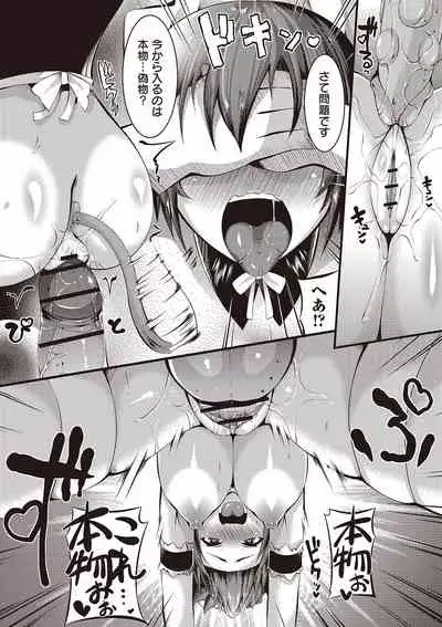 Mesu Dorei Seisakusho