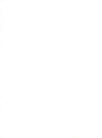 (C63) [Gambler Club (Kousaka Jun)] Cattleya Nee-chan Daikatsuyaku!! (Groove Adventure Rave) [English] [korijoe]