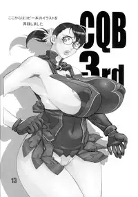 [Matagitei] CQB 3rd (Queen's Blade)